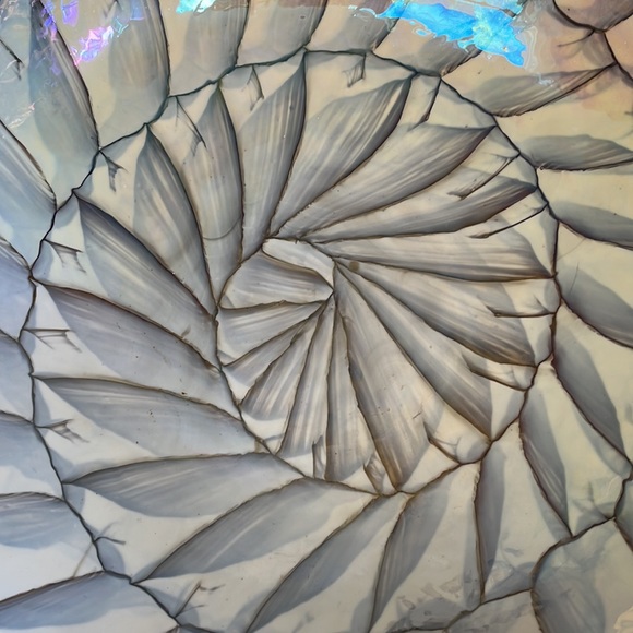 Yalos Casa Murano art glass 20 inch nautilus bowl - Picture 4 of 6